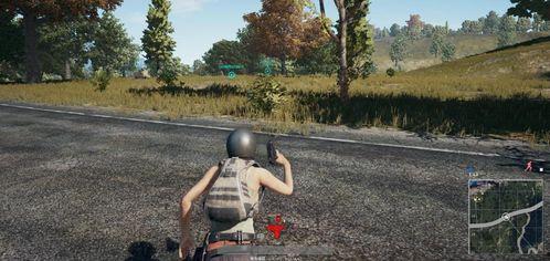 蜜月期吃瓜游戏,游戏乐趣无限