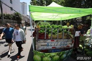 徐州最新吃瓜,揭秘网络热议背后的真相