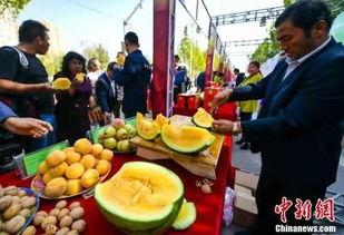 徐州最新吃瓜,揭秘网络热议背后的真相