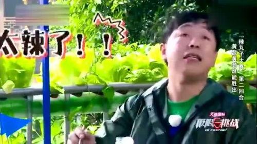 辣老师吃瓜,揭秘娱乐圈幕后真相