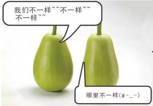 安工程吃瓜,揭秘工程背后的那些“瓜”