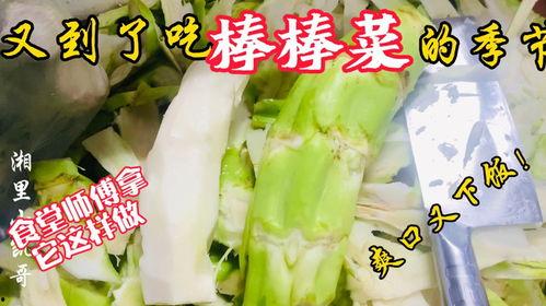 浙江老师吃瓜,揭秘校园里的“瓜田”风云