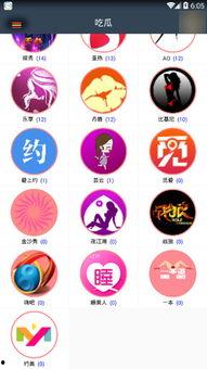 vip付费吃瓜,揭秘娱乐圈幕后真相