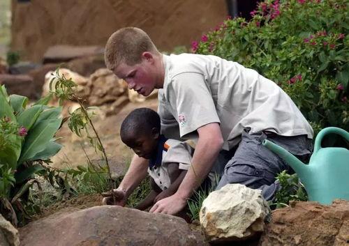 南京温莎 吃瓜,揭秘网红打卡地的吃瓜趣事