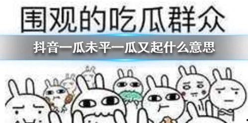 吃瓜没有啥意思,揭秘无聊生活的趣味所在