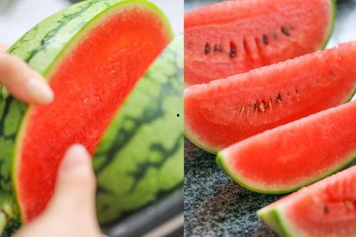 沙瓜和脆瓜哪个吃的人多,探寻哪一种更受消费者青睐