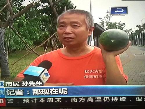 蒙城吃瓜群众事件,一场网络舆论的风暴与反思