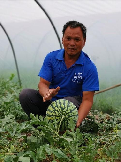 河南近期吃瓜新闻,揭秘本地热点事件背后的故事