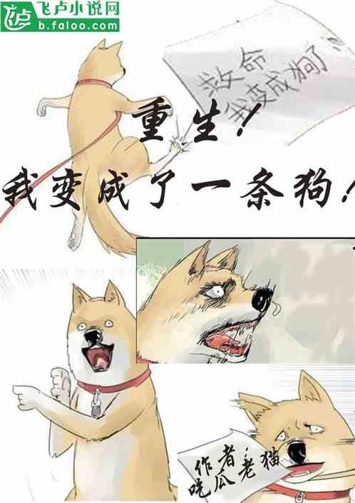 吃瓜起源小说在线阅读