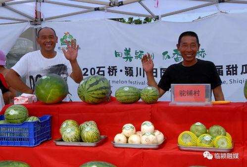 临颍县吃瓜,瓜果飘香，品味乡愁