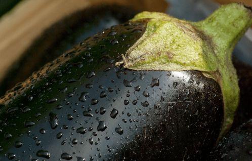 吃茄子瓜,探寻家常美味新境界