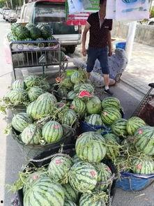 昆山世贸吃瓜事件