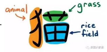 吃瓜学汉字,趣味汉字学习新体验