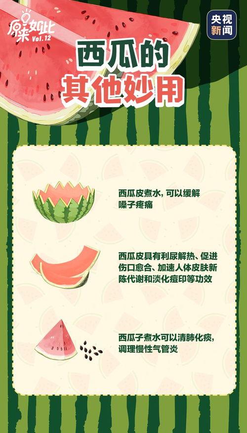 吃瓜学汉字,趣味汉字学习新体验