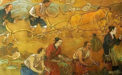 古人吃匏瓜,穿越千年的美味记忆