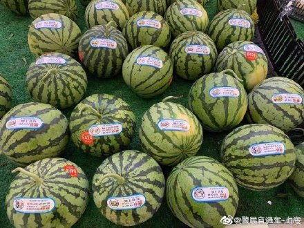 吃瓜反诈视频,短视频教你识破骗局