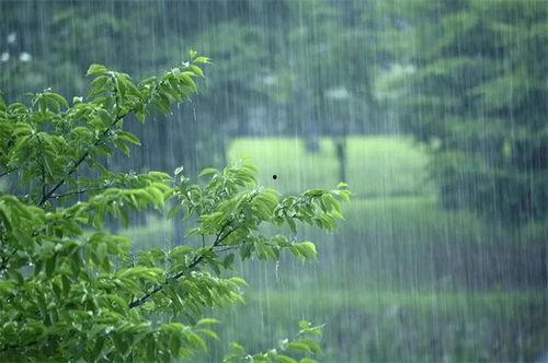 云夕吃瓜多雨,多雨天气下的趣味生活