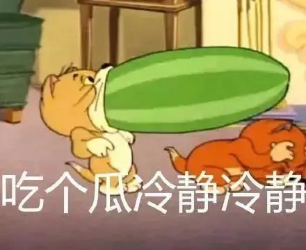 吃瓜很恶心,网络热词背后的心理现象