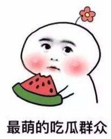 吃瓜半夜吐了记录,意外吐糟成焦点