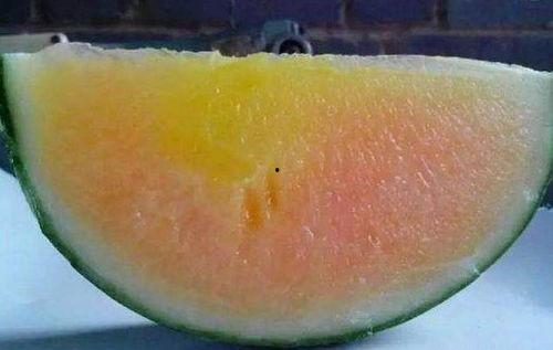 彩红吃瓜,揭秘娱乐圈的甜蜜与苦涩