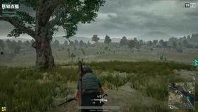 吃鸡吃瓜直播间怎么进去,轻松进入“吃鸡吃瓜”直播间的独家攻略