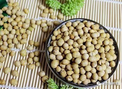 豆有大瓜天天吃