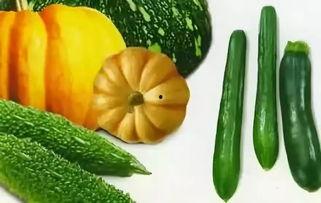 多种吃瓜视频大全最新