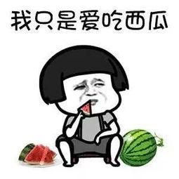 你会吃瓜吗,一场全民参与的“瓜界盛宴”