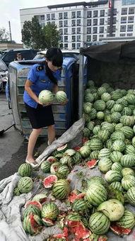 商丘近期吃瓜事件,揭秘近期网络热议事件背后的真相