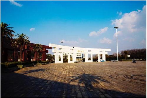 南昌大学免费吃瓜,免费瓜果共享，甜蜜滋味人人有份