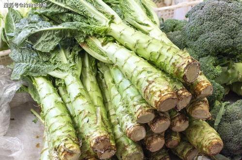 惊蛰吃凉瓜,传统习俗中的凉瓜美食之旅