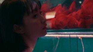 神秘吃瓜少女,揭秘校园里的神秘现象