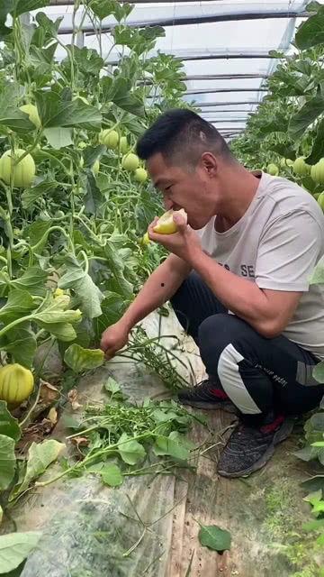 一边吃瓜,一边洞察娱乐圈风云变幻