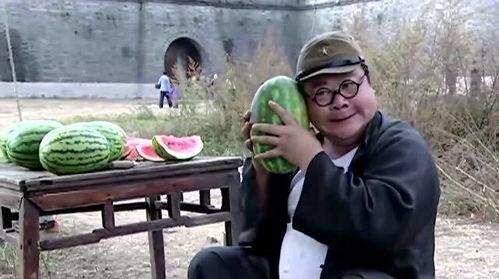 翻译官吃瓜叫什么瓜,揭秘那些鲜为人知的“吃瓜”故事