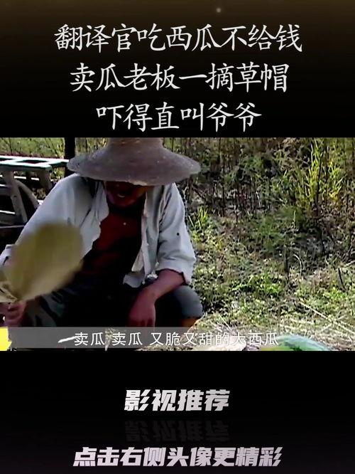 翻译官吃瓜叫什么瓜,揭秘那些鲜为人知的“吃瓜”故事