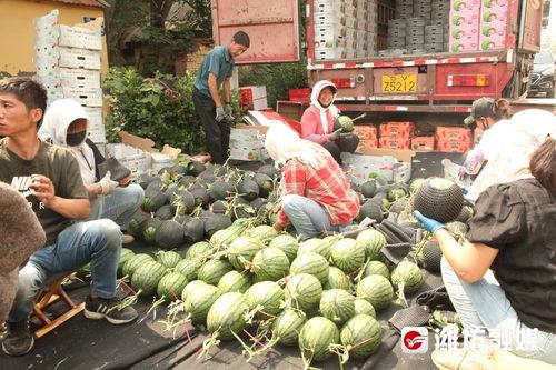 吃瓜前线是什么,网络舆论的风向标与幕后真相