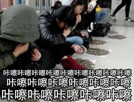 吃瓜前线是什么,网络舆论的风向标与幕后真相