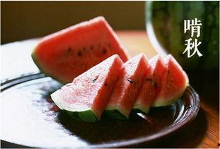 吃瓜园好吗,网络热词背后的文化现象