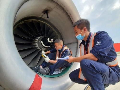 坐在飞机上吃瓜,飞机上吃瓜的奇妙体验