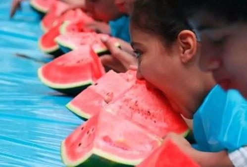 吃瓜群众的日常吃瓜,日常吃瓜背后的趣味与智慧