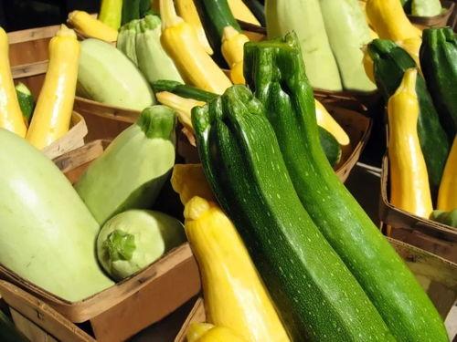 老公种瓜我吃瓜