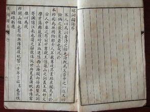 带你吃瓜古文翻译,带你领略古代“瓜圈”文化