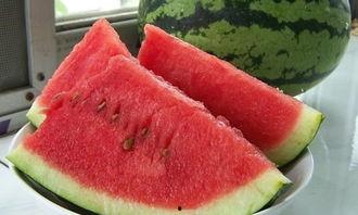 吃瓜比赛怎么吃的快,揭秘吃瓜比赛的快速技巧