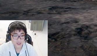 老王吃瓜主播,揭秘直播界的幕后故事