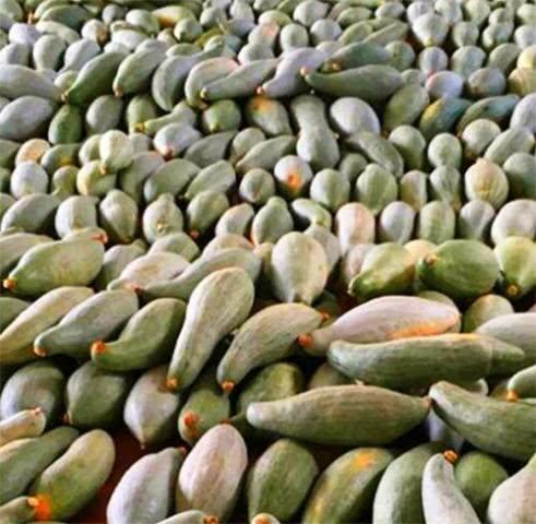 男生喝多了吃蜜瓜,男生狂欢后的甜蜜救赎