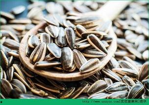 吃瓜不如吃瓜子