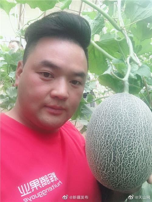 中央新闻吃瓜,揭秘吃瓜群众的幕后故事