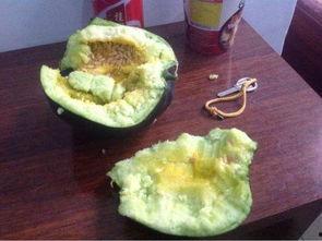 以前吃瓜和现在吃瓜,吃瓜群众的变迁与趣味