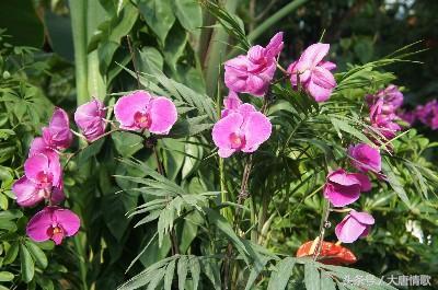 闺蜜吃鸭瓜,甜蜜时光难忘回忆