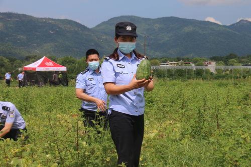 防疫警察吃瓜,警察化身“吃瓜群众”，展现抗疫温情瞬间